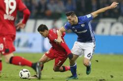 开云官网-沙尔克04保持不败纪录，连续取得积分