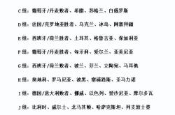 开云体育下载-西班牙挑战阿尔巴尼亚能否稳操胜券夺得胜利？