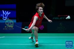 开云APP-丹麦队逆转法国队，陈雨菲刷新纪录